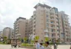 Buyers hope for conveniences in new sectors of Noida
